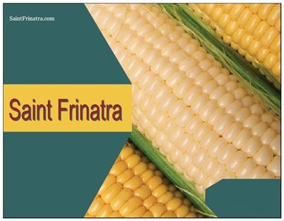 SaintFrinatra.com